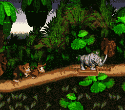 Donkey Kong Country